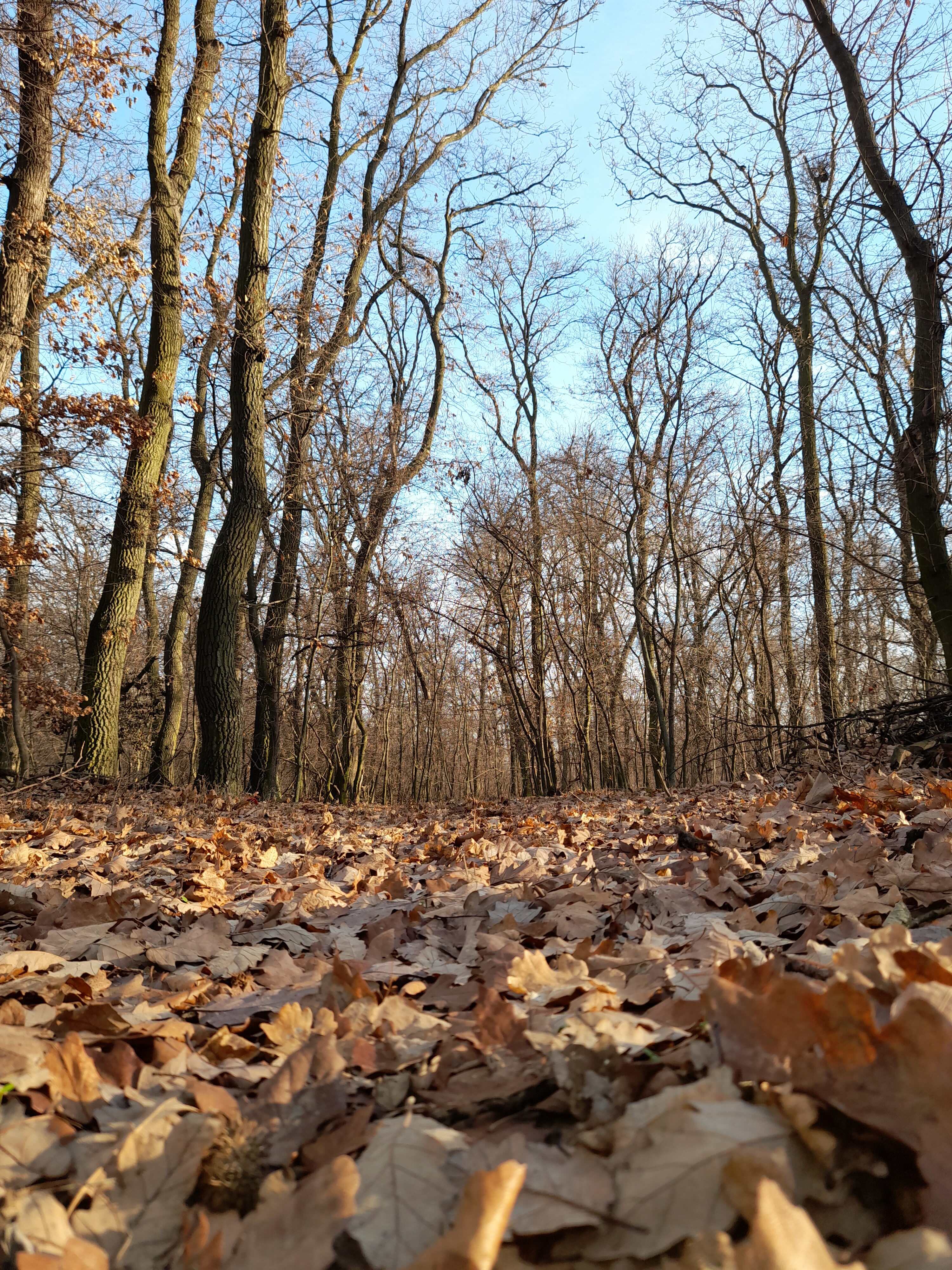 20220102_140313.jpg
