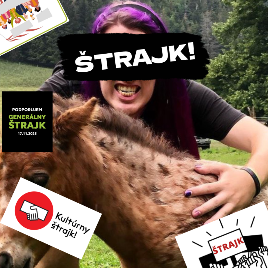 Nov&yacute;_projekt_(74).png