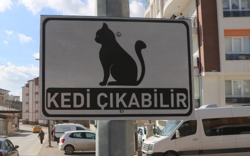 f_d92d8_kedi̇_çikabi̇li̇r.jpg