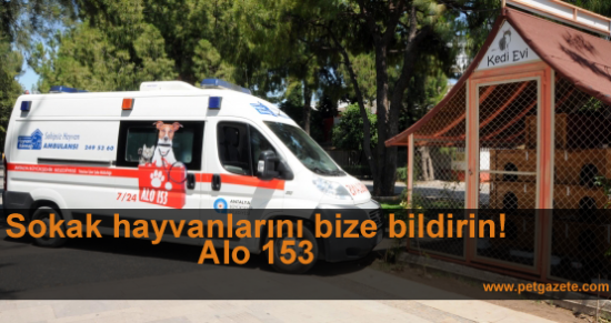 hayvan_ambulansı_petgazete_alo_153_antalya_belediyesi-e1387280854633.png