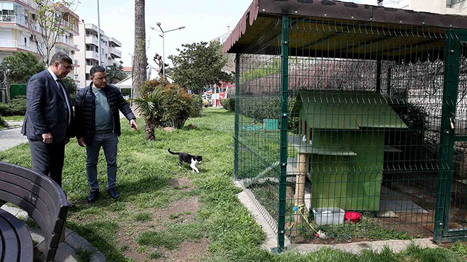 karsiyaka-daki-tum-parklara-kedi-evi-yapilacak-1075522.jpg