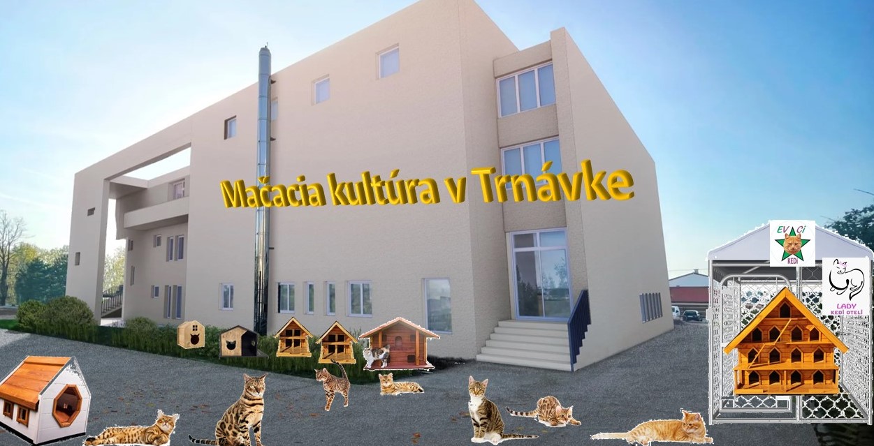 macka_v_trnavke.jpg