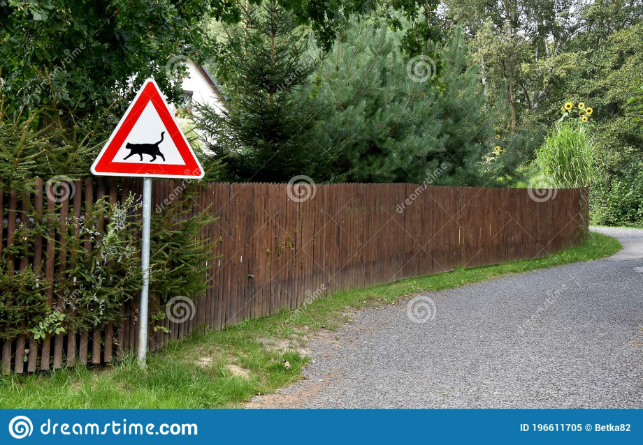 red-triangular-road-sign-warning-cats-stock-images-cat-crossing-warning-sign-rural-road-stock-photo-cat-caution-road-sign-196611705.jpg