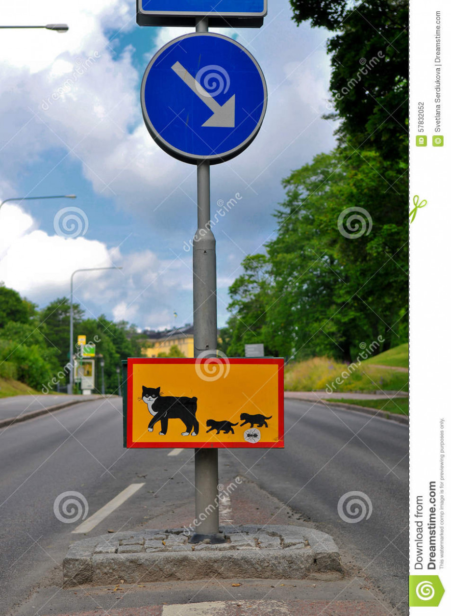 road-sign-near-pelle-svanslös-hus-uppsala-sweden-showing-cat-two-kittens-crossing-museum-childrens-57832052.jpg